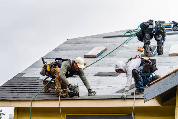 Professional Roof Replacement technician working in Nutting Lake, MA
